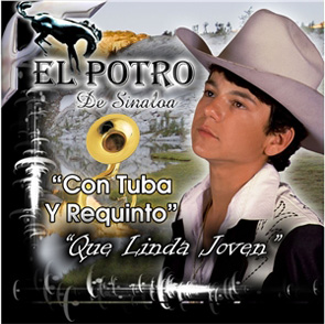 Album Con Tuba y Requinto Del Potro De Sinaloa