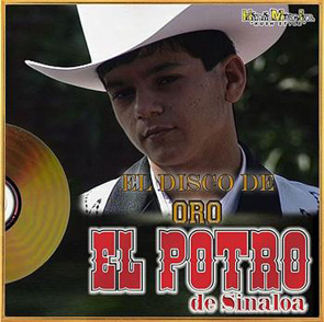 Album El Disco De Oro